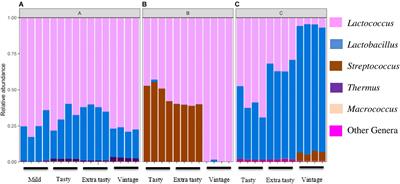 Microbiota and Metabolite Profiling Combined With Integrative Analysis for Differentiating Cheeses of Varying Ripening Ages